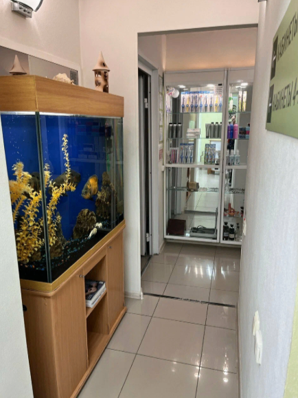 603047552__https://filllin.ru/api/media/clinic/8e002d40-5c34-4624-92f1-edb4b2e1e471-68d2b334d611ae3c0dcef079.png