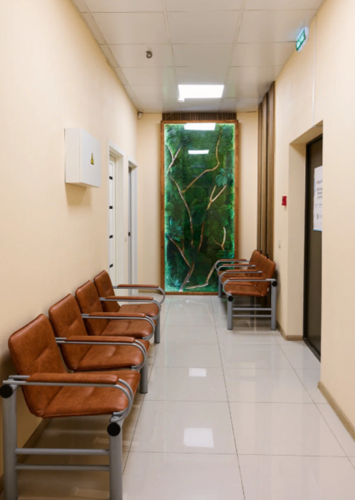 112843779__https://filllin.ru/api/media/clinic/9aa82704-5b8e-4118-97e4-ce422f547465-6641d6971b708b73903b2c1d.png