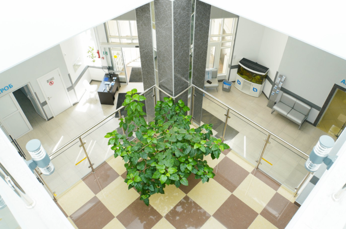 11430856__https://filllin.ru/api/media/clinic/fd06f854-36af-4658-930b-0ad9ff5f3044-6641d6971b708b73903b2c1d.png