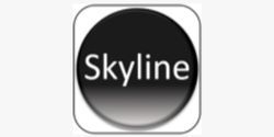 Skyline (на Молодежной)