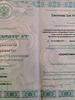 doctor-certificate-3