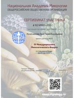 doctor-certificate-3