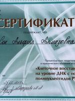 doctor-certificate-13