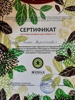 doctor-certificate-9