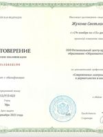 doctor-certificate-3