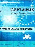 doctor-certificate-2