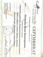 doctor-certificate-19
