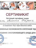 doctor-certificate-2