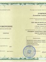 doctor-certificate-2