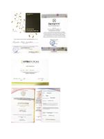 doctor-certificate-2