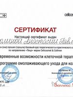 doctor-certificate-11