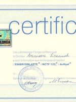 doctor-certificate-53