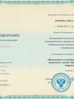 doctor-certificate-4
