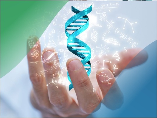 Генетический тест активное долголетие 62 гена